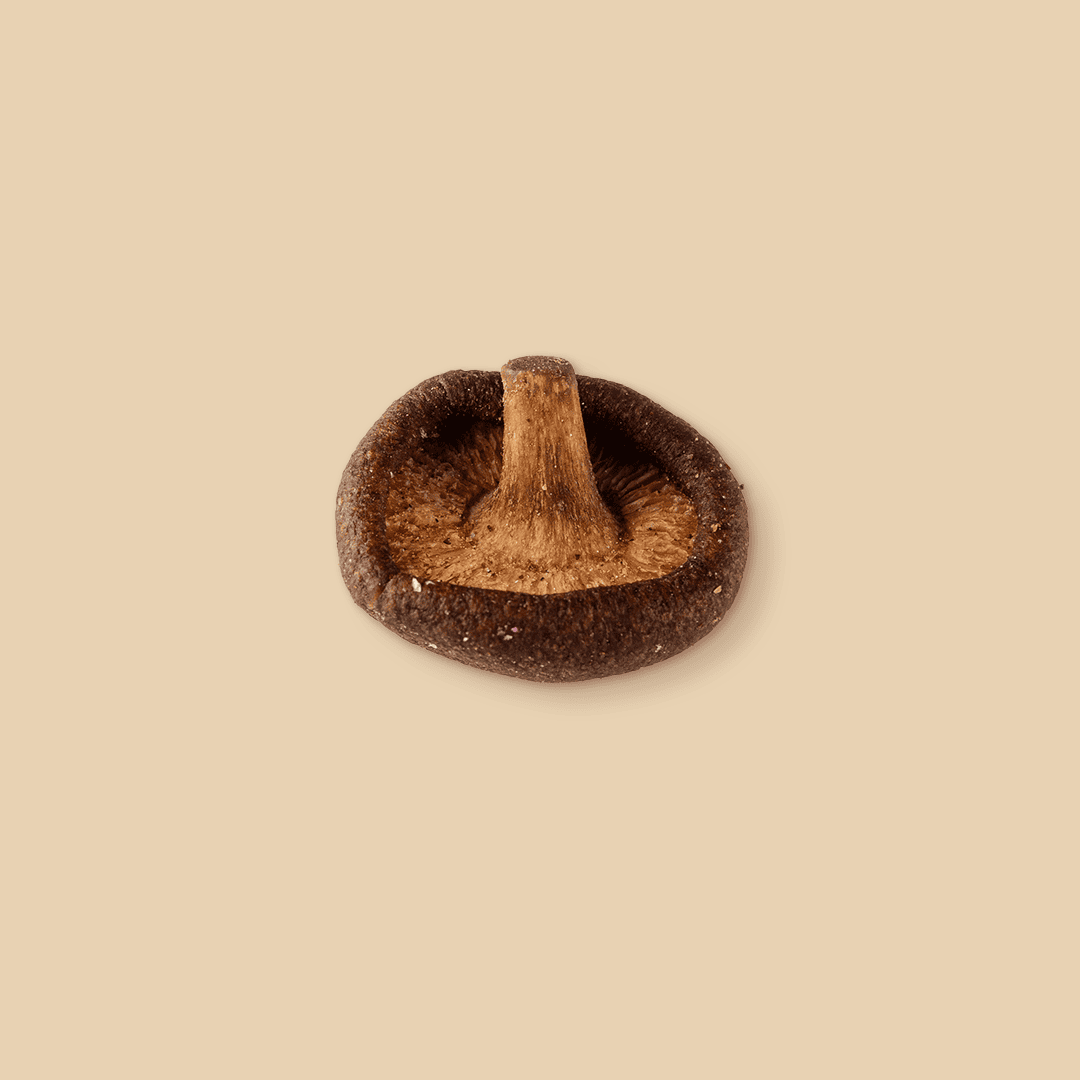 Single dried shiitake mushroom with a textured brown cap and stem, shown from an angled top-down perspective against a solid light beige studio background