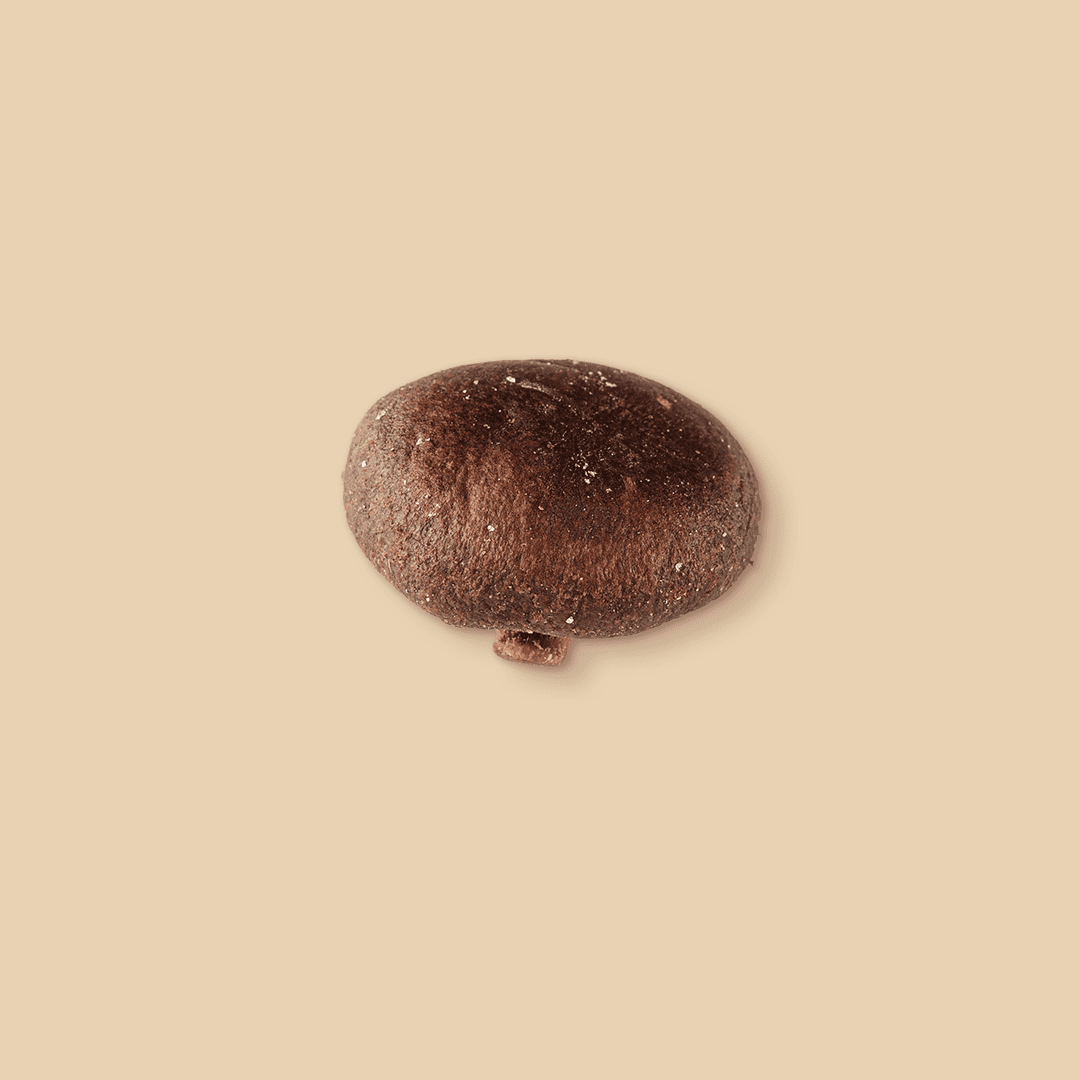 A single dried, dark brown shiitake mushroom viewed from above, centered against a solid light beige studio background
