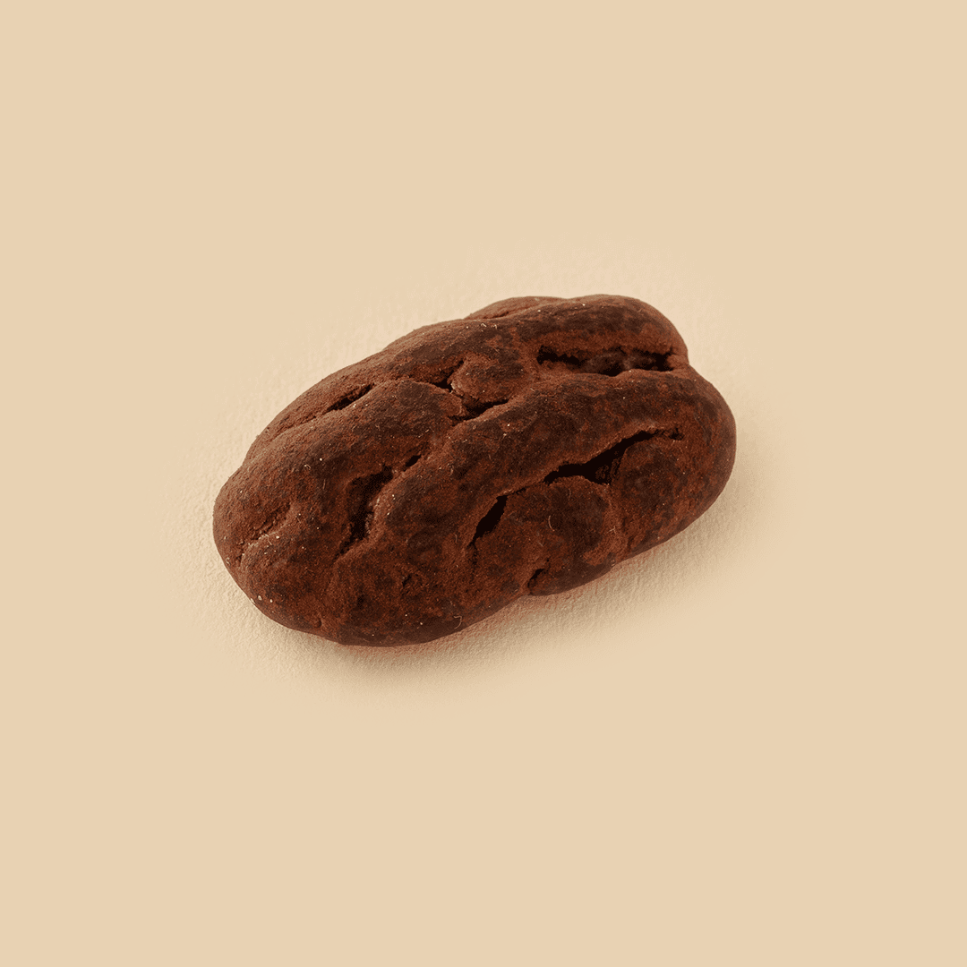 PBDragee Pecan Cocoa Powder