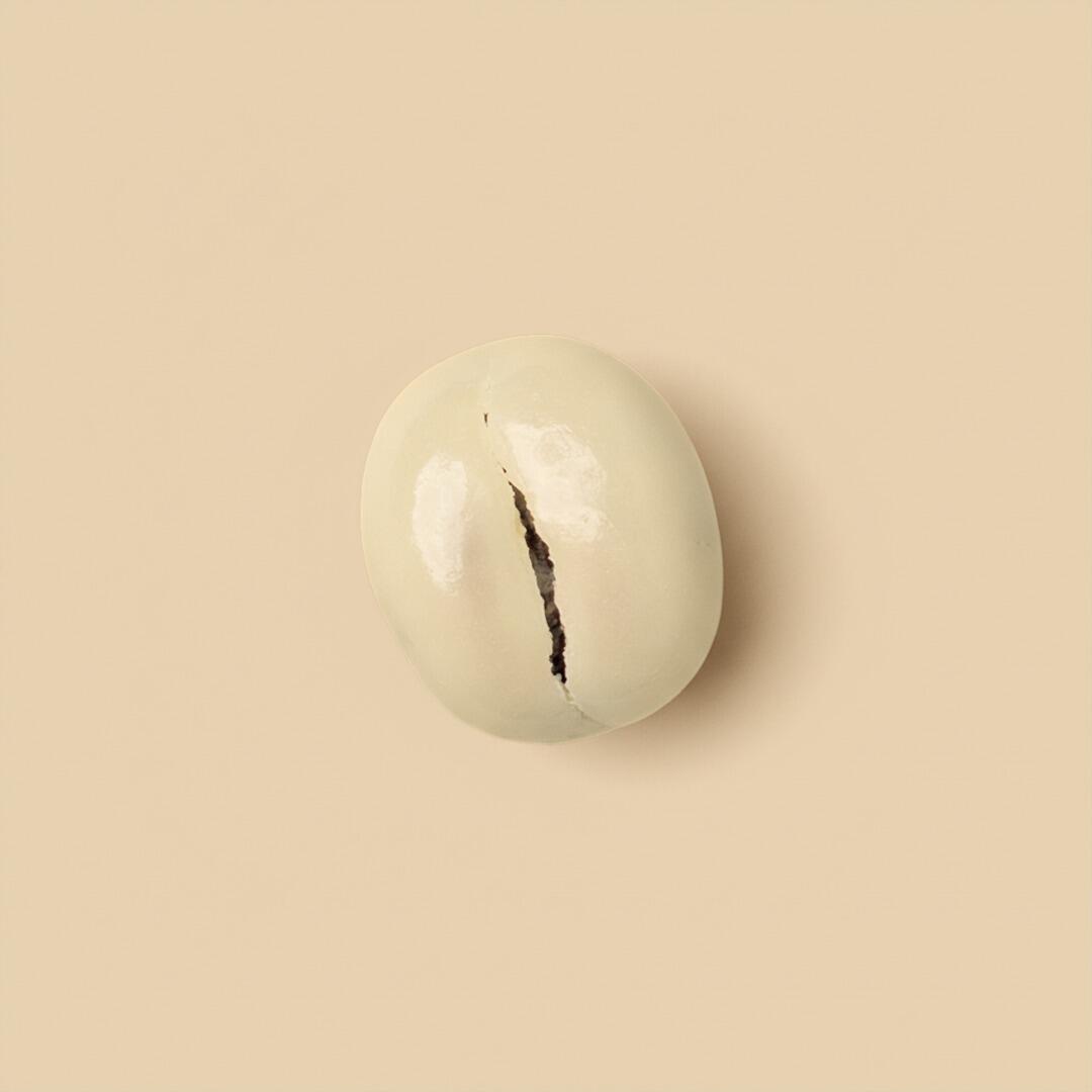 A single roasted coffee bean coated in smooth white chocolate, captured from a top-down angle against a solid, light beige studio background.