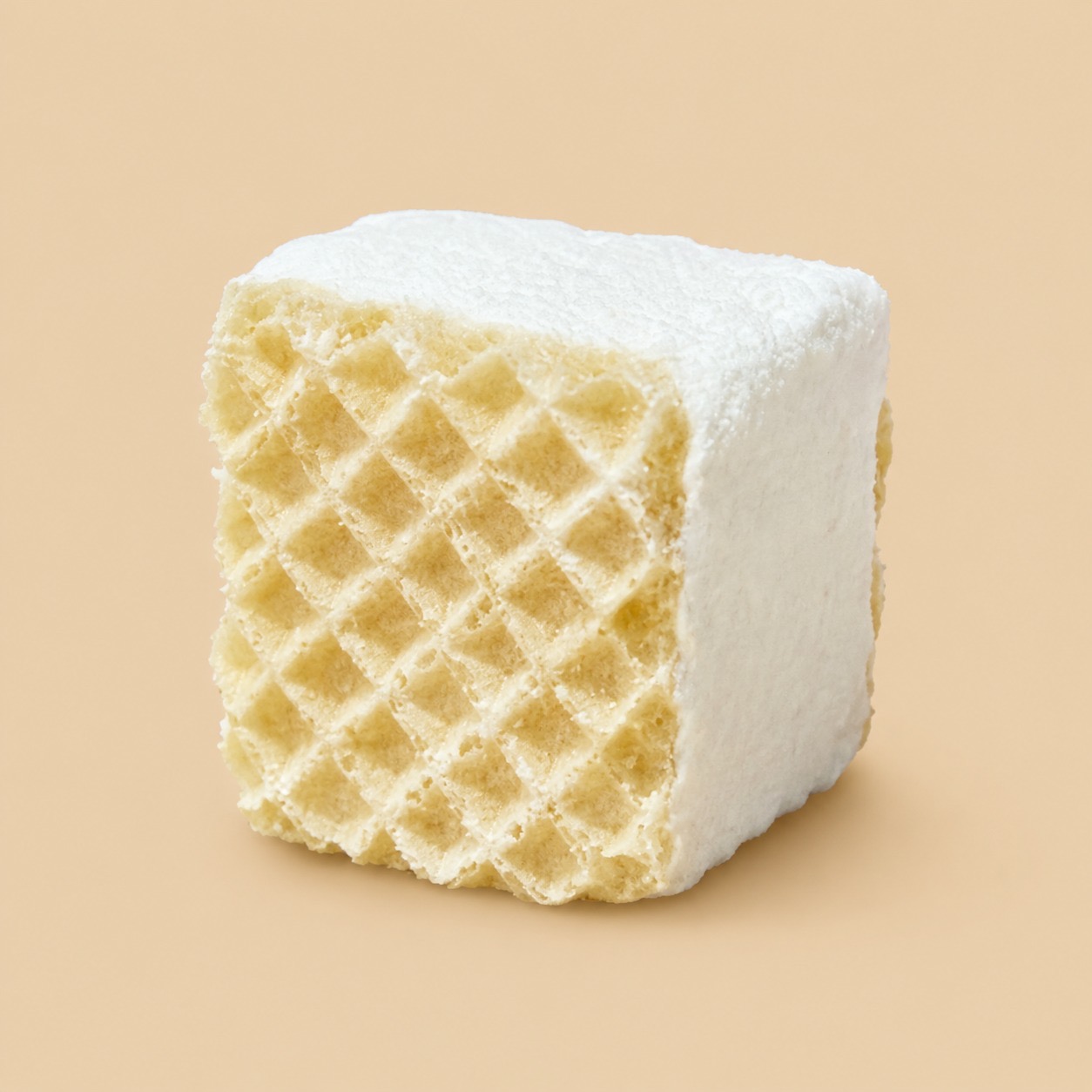 Freeze-dried wafer ice cream