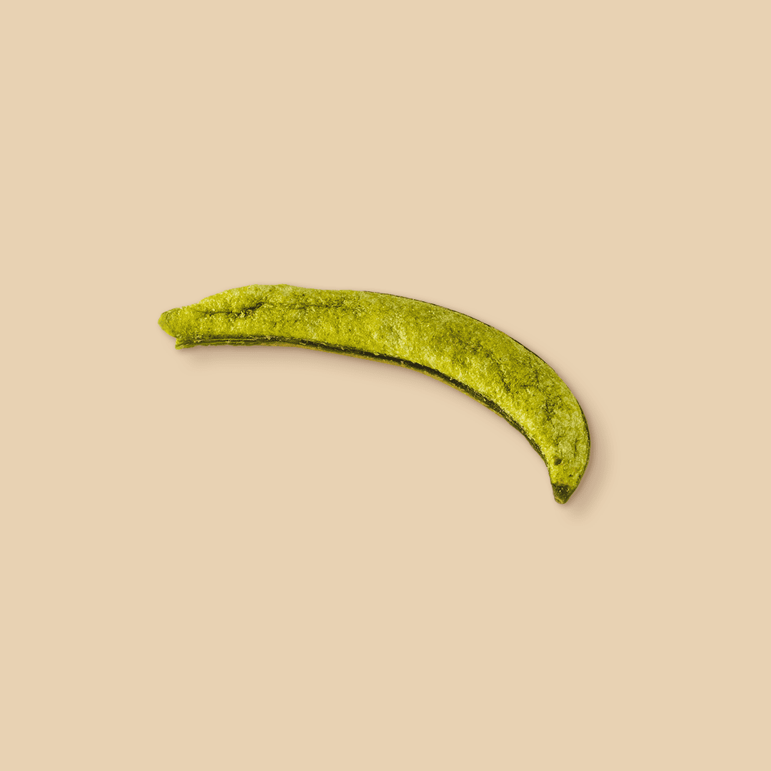 A single curved, dehydrated green snap pea pod with a textured, matte surface shown from a top-down angle against a plain light beige background