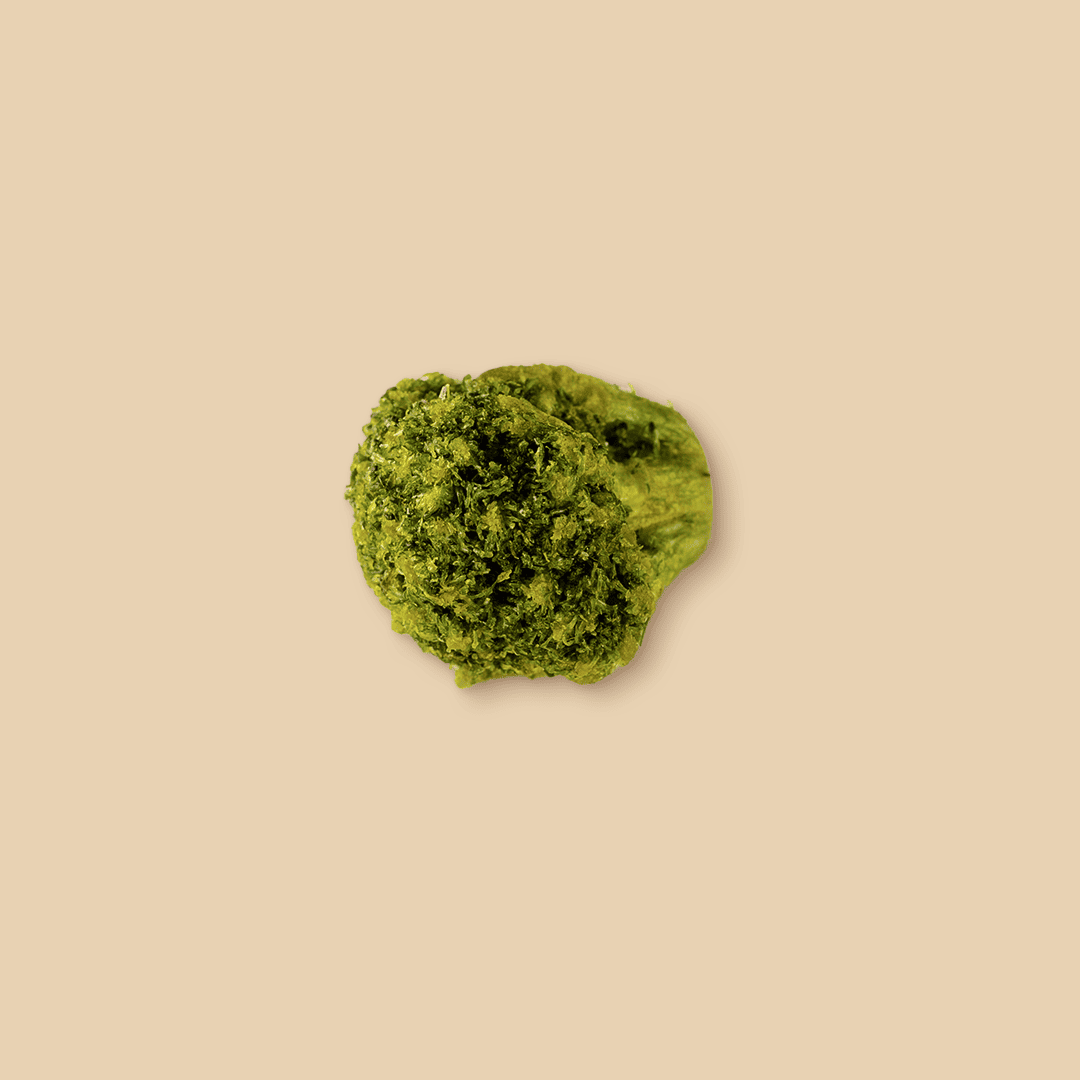 A single dried broccoli floret with a vibrant green, textured surface viewed from above, centered on a solid beige background