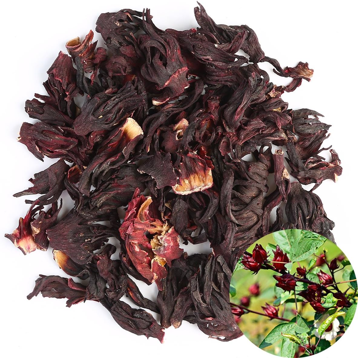 Roselle