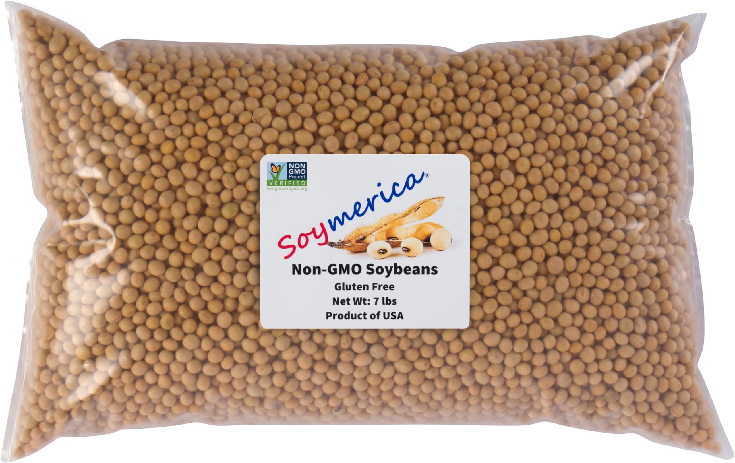 soybean