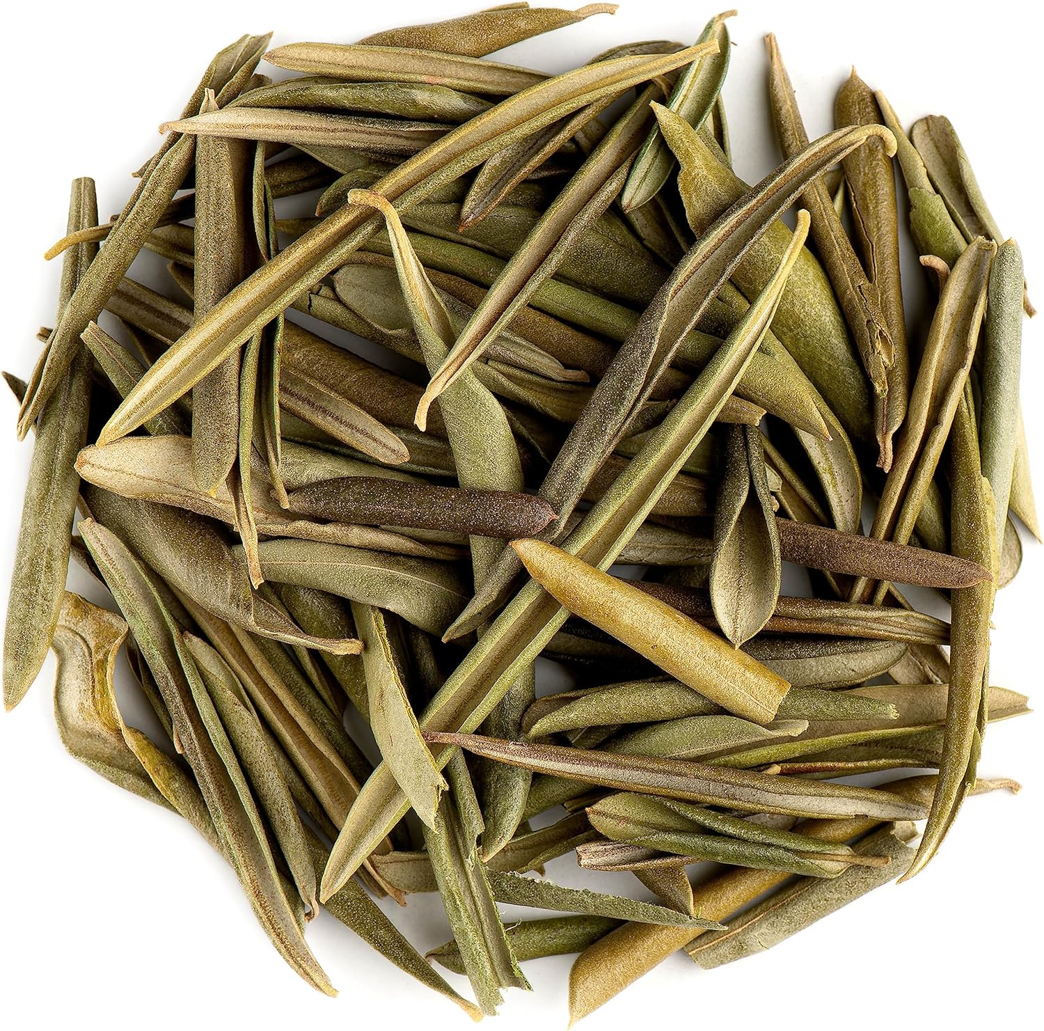 Olive leaf