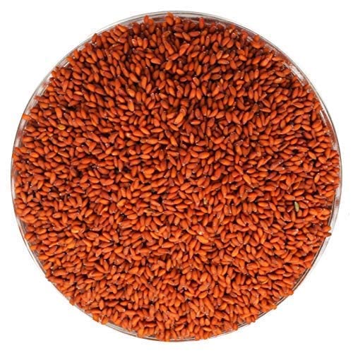 Garden cress seeds