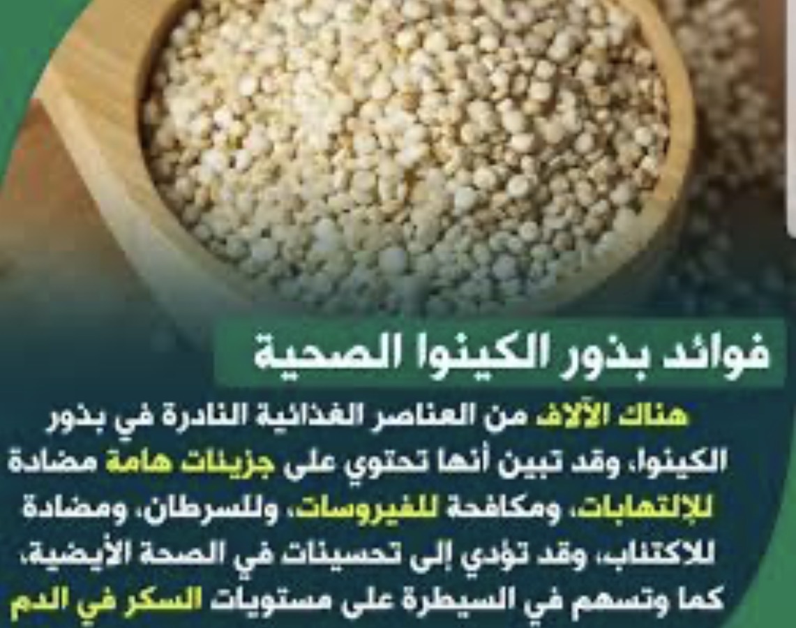 quinoa grains